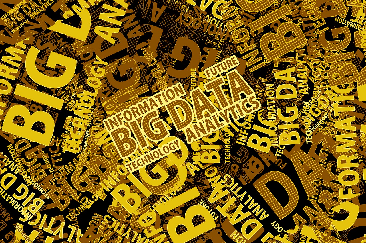 Big Data nella PA