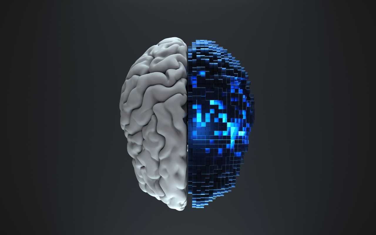 anatomia di un prompt