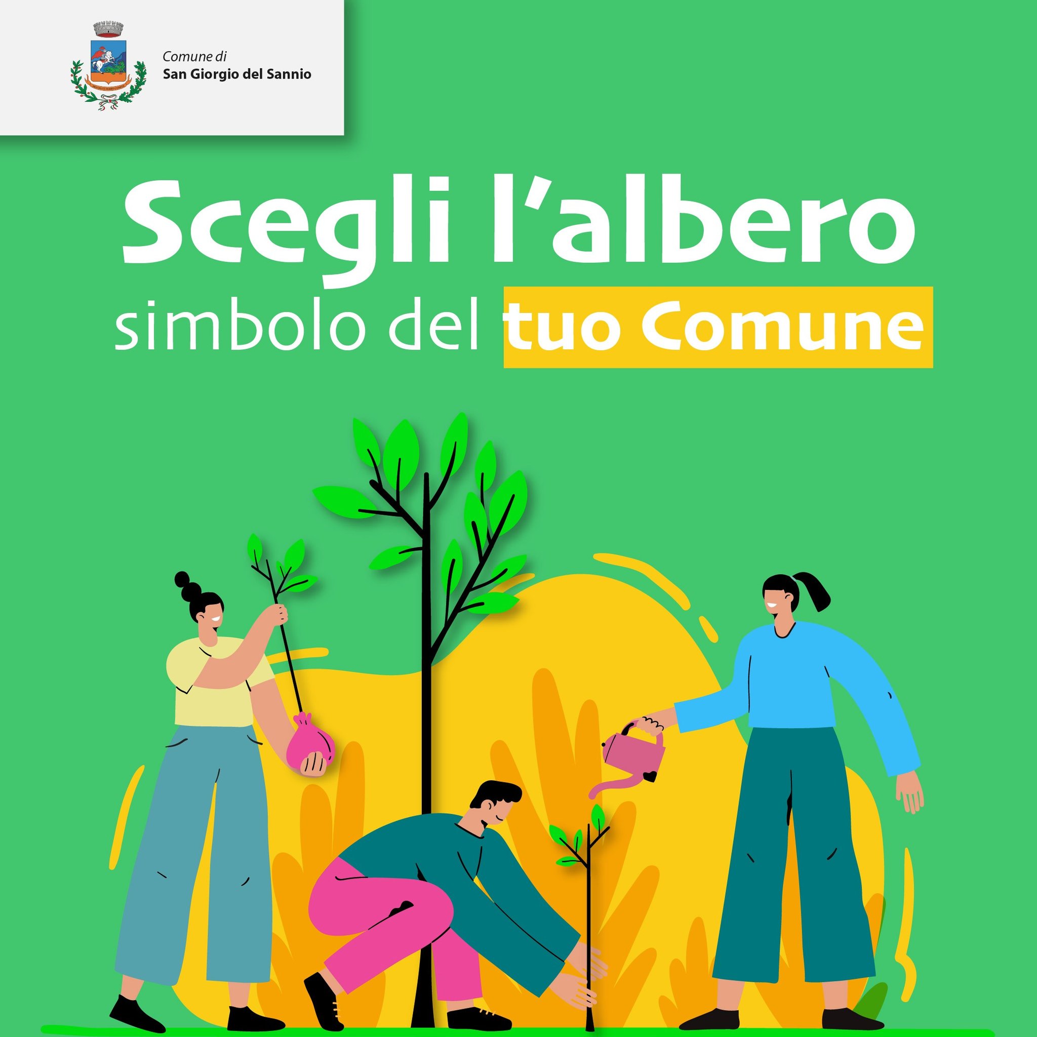 partecipazione diretta dei comuni